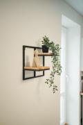Apartmány u Jeníka