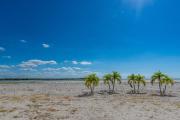Top Fort Myers Beach