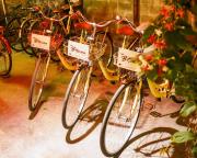 Top Hoi An