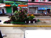 Pampa & Selva