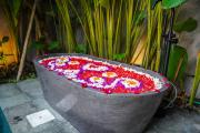Top Ubud