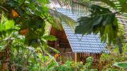 Wild Wood Tree House Sigiriya