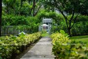 Top Da Nang