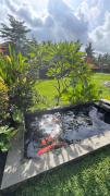 Top Ubud