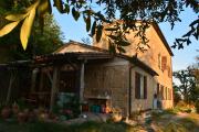 Top Sorano