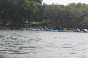 Top Sāgarkatte