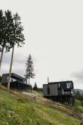 Top Palyanytsya