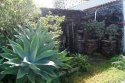 Top Garachico