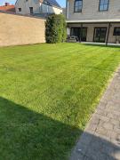 Top Lo-Reninge