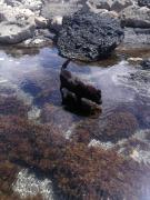 Top Costa Calma