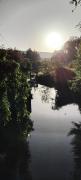 Top Chevreuse
