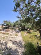 Top Agadir Top Agadir