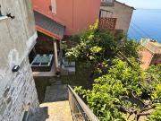 Top Corniglia Top Corniglia
