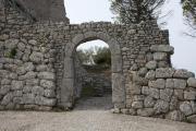 Top Arpino