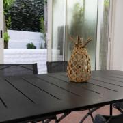 Top Marcelli