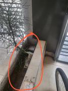 Bnb Loft VII