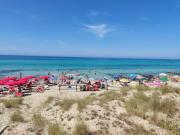 Top Gallipoli
