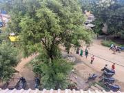 Top Khattai