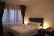 New Belgrade nest A blok