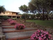 Top Porto Rotondo