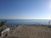 Top Anzio