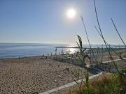 Top Anzio