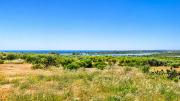 Top Noto