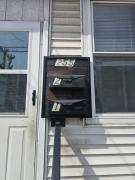 Top Trenton