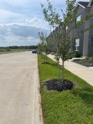 Top College Station