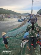 Top Vinh Hy Bay
