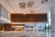 Top Shunde