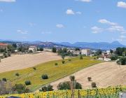 Top Morrovalle
