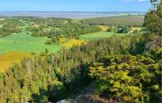 Top Hallby