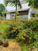 Top Padinjarathara