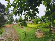 Top Padinjarathara
