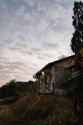 Top Mirik