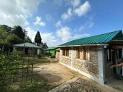 Top Mirik