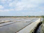 Top Aveiro Top Aveiro