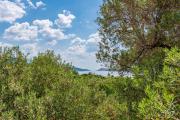 Top Banjol Top Banjol