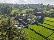 Top Ubud Top Ubud
