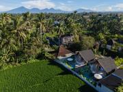 Top Ubud Top Ubud