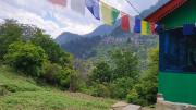 Metanoia Nest cottage & Homestay