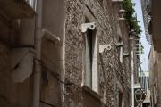 Top Terlizzi