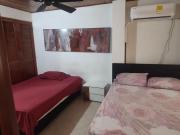Gaviotas 41