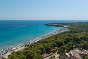 Top Torre Saracena