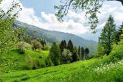 Top Levico Terme
