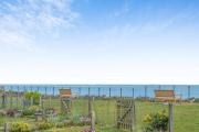 Top Sandown