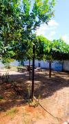 Espaço Luz & natureza