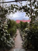 Guesthouse Martvili Tasia