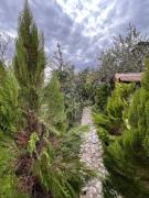 Guesthouse Martvili Tasia